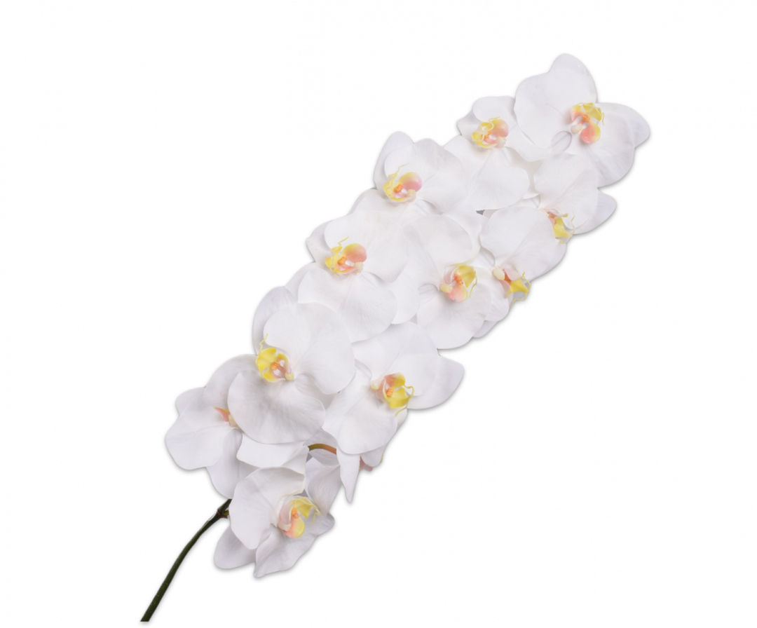 Branch - Phalaenopsis  - White - 106cm