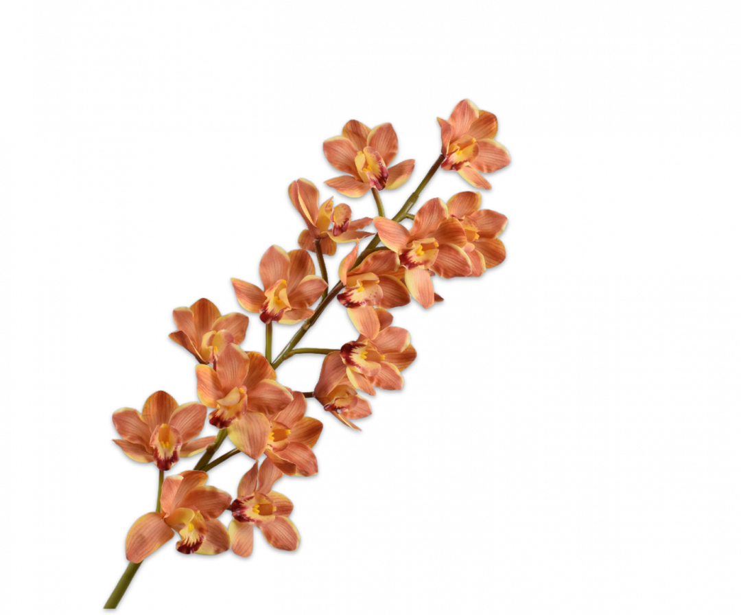 Cymbidium Stem - Sunrise Orange - 114cm