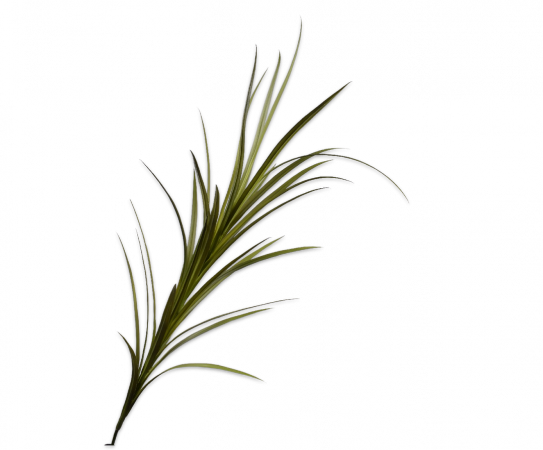 Grass Stem - Dune Green - 150cm