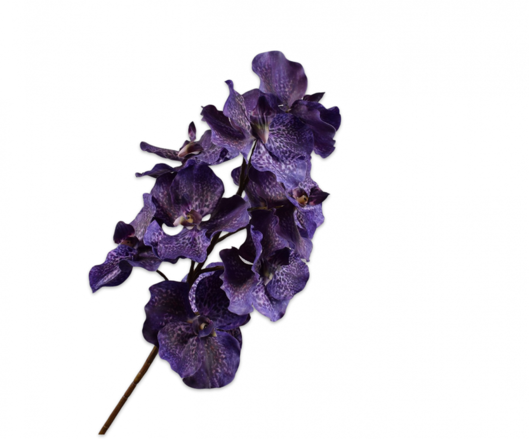 Orchid Branch - Mid Night Purple - 79cm