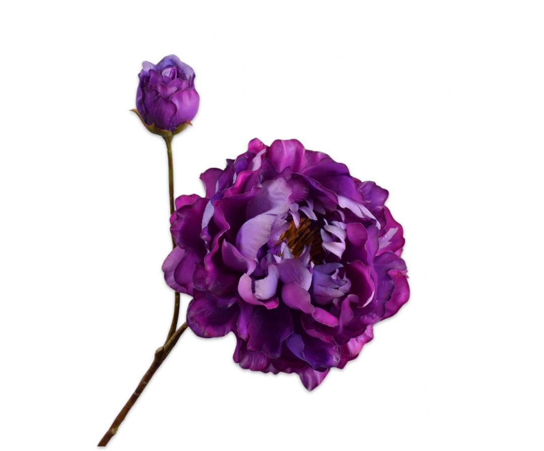 Branch - Peony - Purple - 79cm