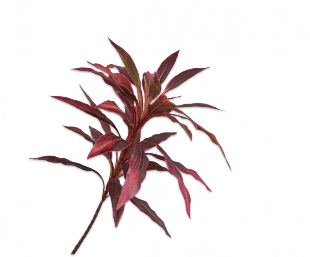 Cordyline Stem - Burgundy Red - 140cm