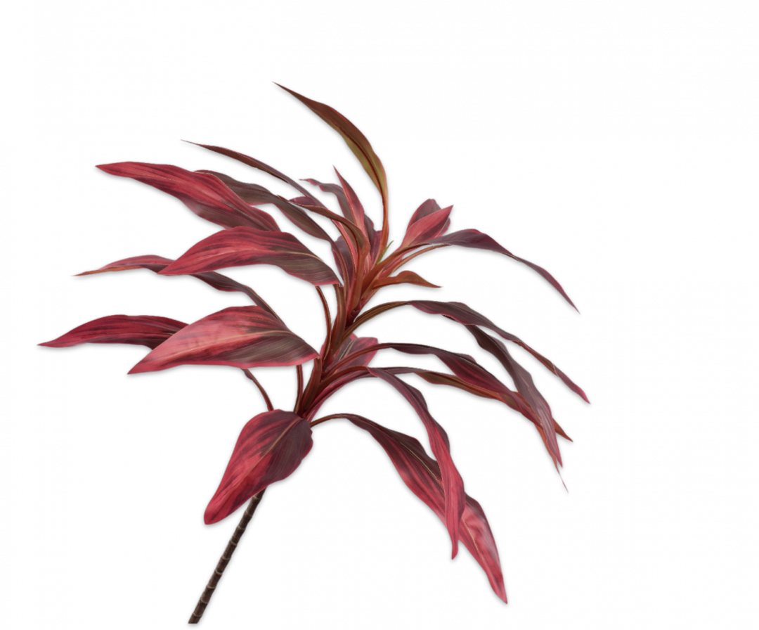 Cordyline Stem - Burgundy Red - 100cm