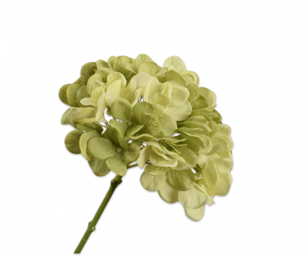 Branch - Hortensia - Green - 48cm