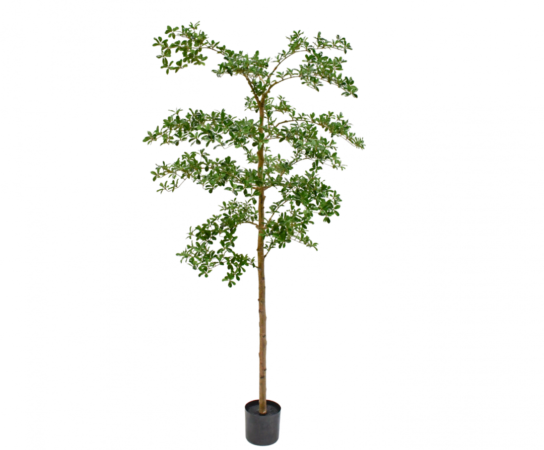 Plant - Botanic Green - 213cm