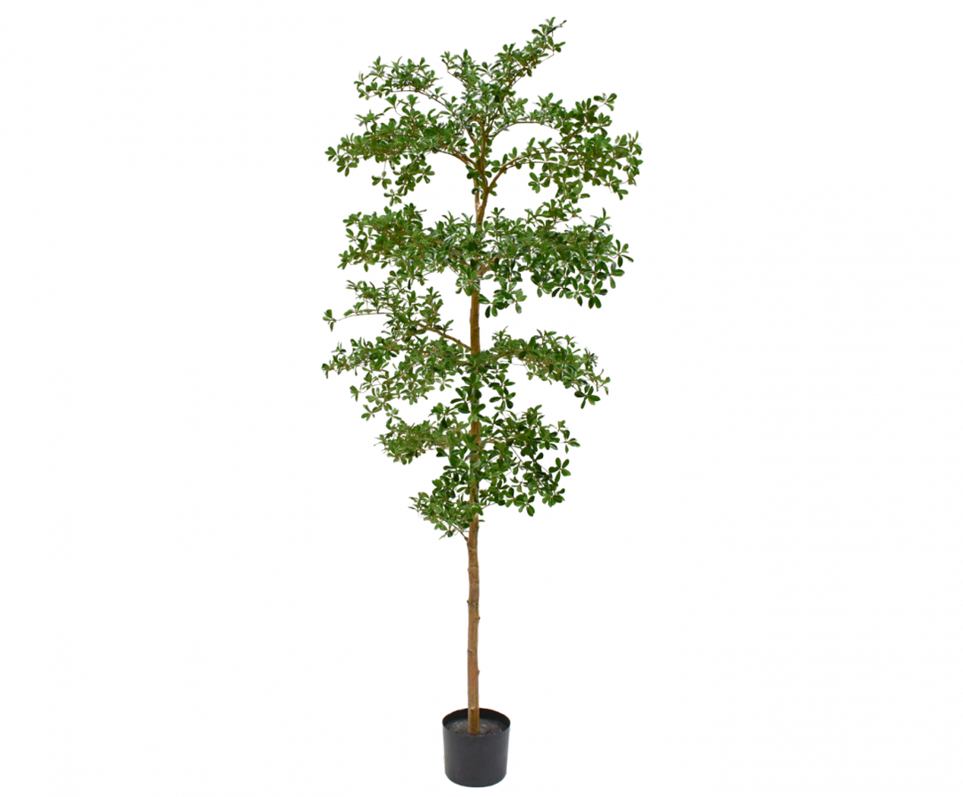 Plant - Botanic Green - 244cm