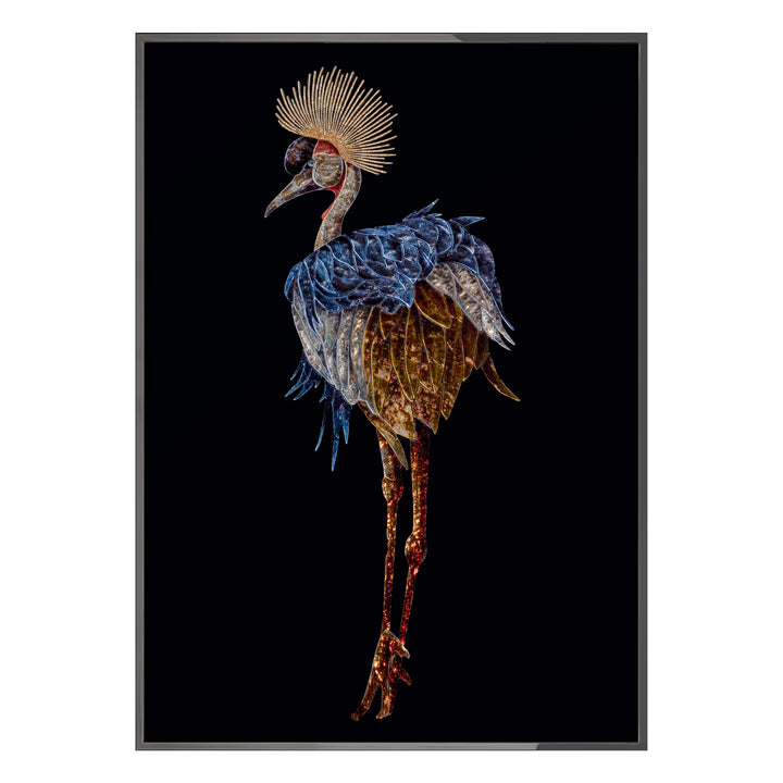Art - Gru coronata