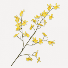 Orchid Branch - Fire Flames - Yellow - 100cm