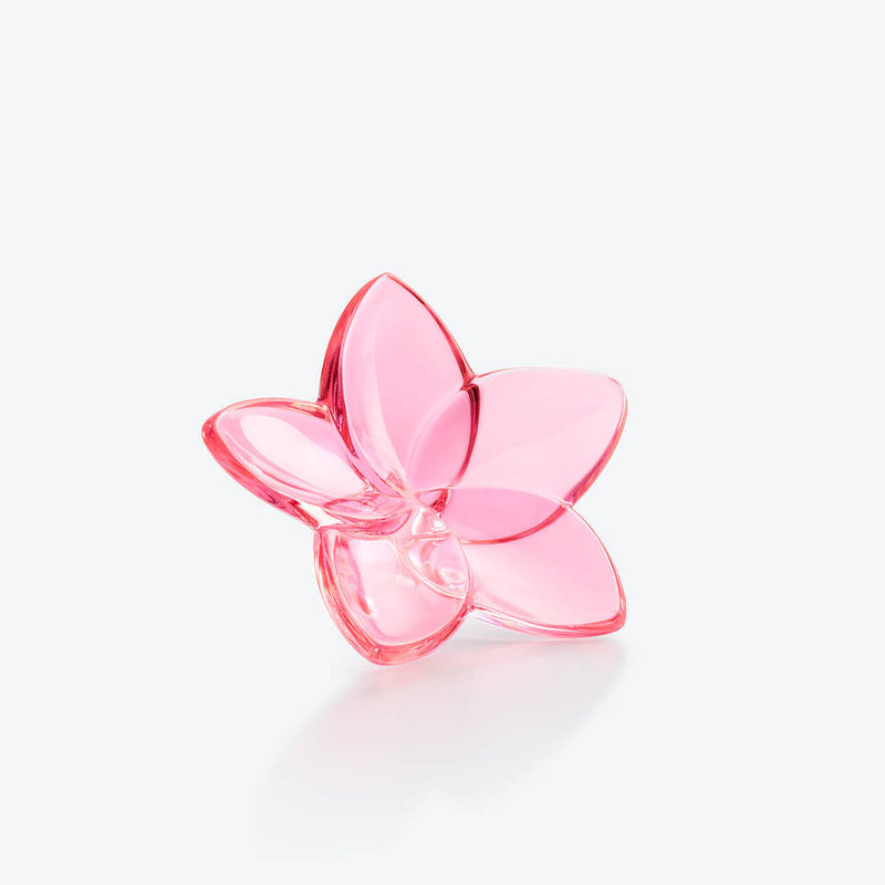 The Bloom Collection - Pink