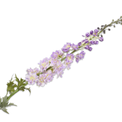 Delphinium Branch - Marône Purple - 137cm