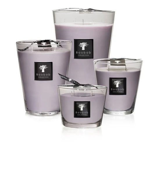 Candle - All Seasons - White Rhino