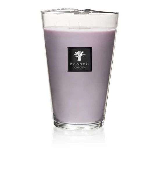 Candle - All Seasons - White Rhino