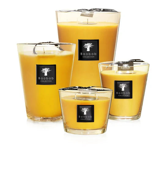 Candle - All Seasons - Zanzibar Spices