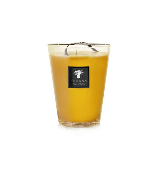 Candle - All Seasons - Zanzibar Spices