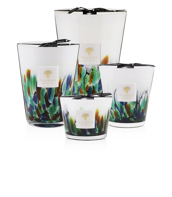 Candle - Rainforest Amazonia