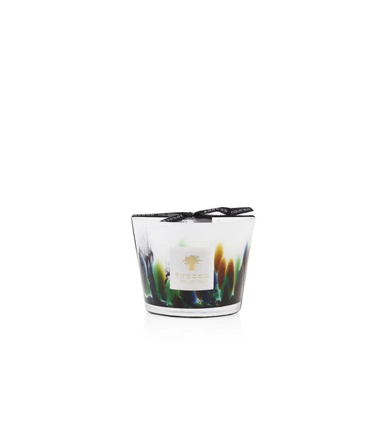 Candle - Rainforest Amazonia