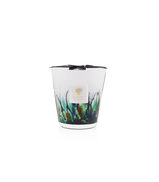 Candle - Rainforest Amazonia