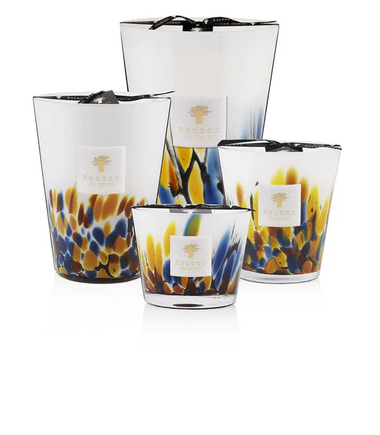 Candle - Rainforest Mayumbe