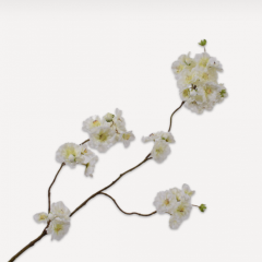 Blossom Branch - White Paradise - 127cm