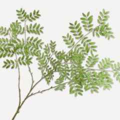 Leaf Branch - Spray Green - 144cm