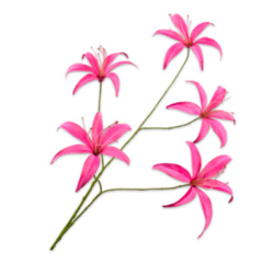 Lily Branch - Pink - 113cm