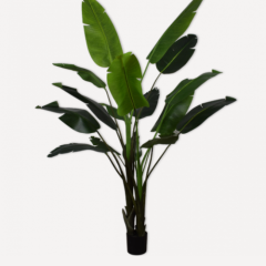 Strelizia Branch - Green - 182cm