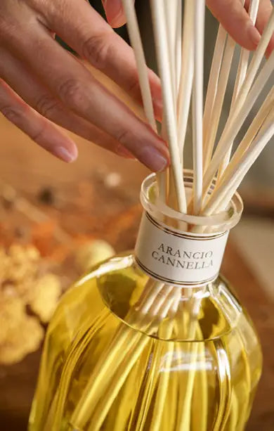 Diffuser - Arancio Cannella