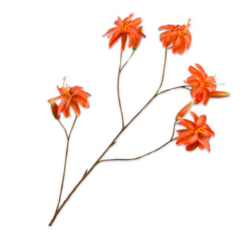 Branch - Lily - Orange - 106cm