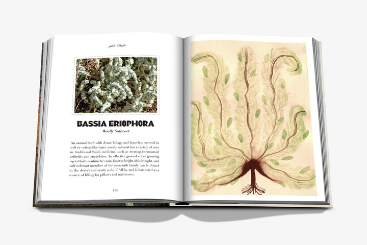 Book - AlUla Flora