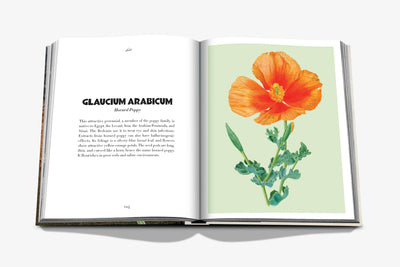 Book - AlUla Flora