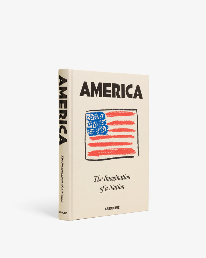Book - America - The Imagination of a Nation