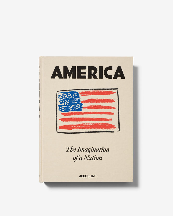 Book - America - The Imagination of a Nation