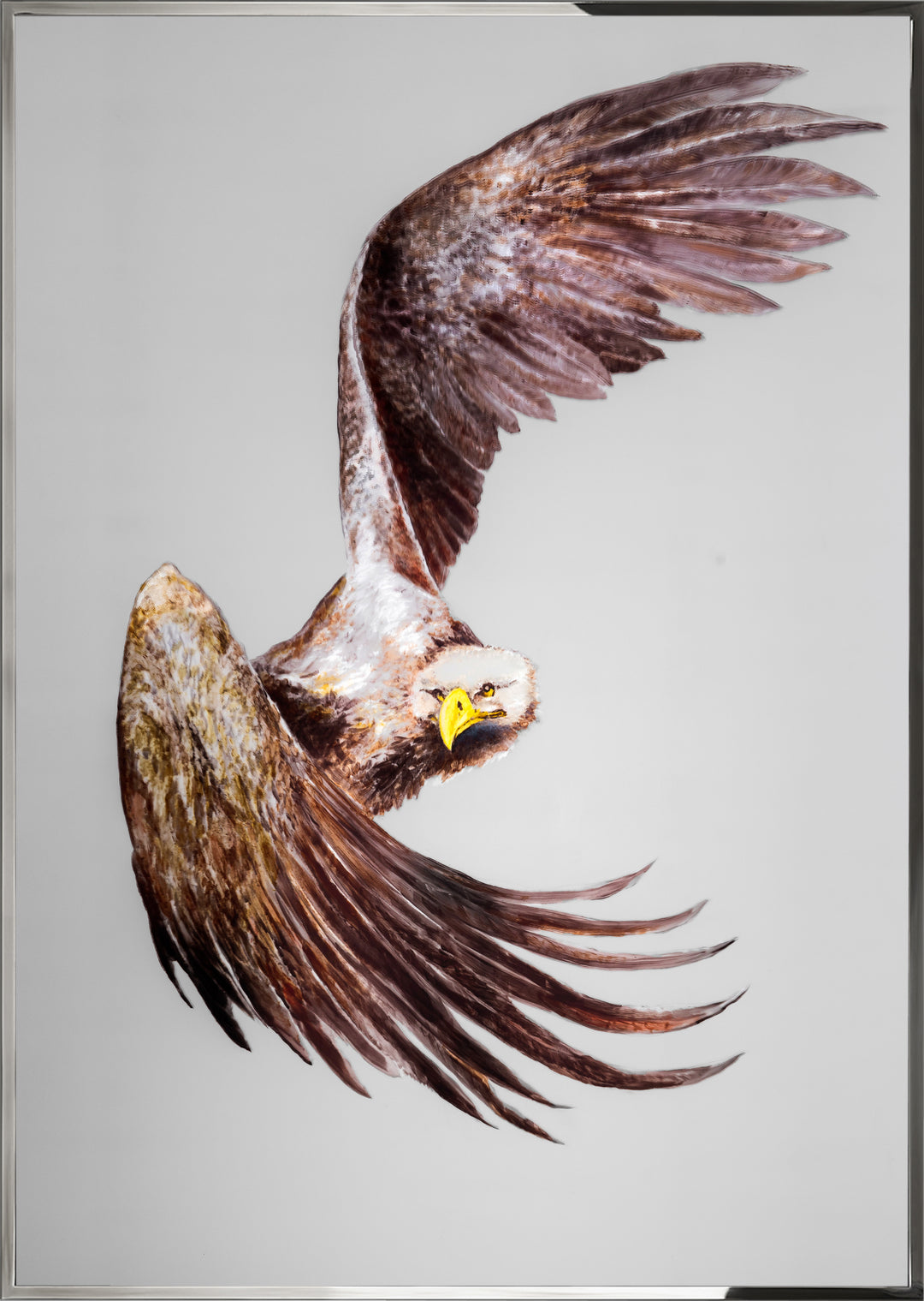 Art - Aquila