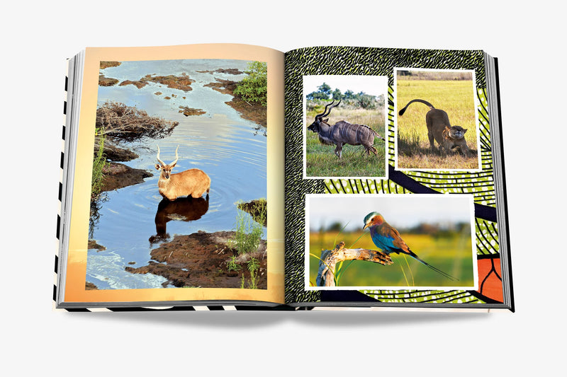 Book - African Adventures: The Greatest Safari On Earth