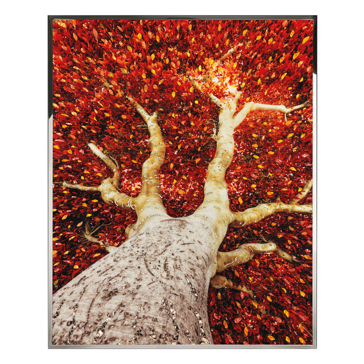 Art - Albero