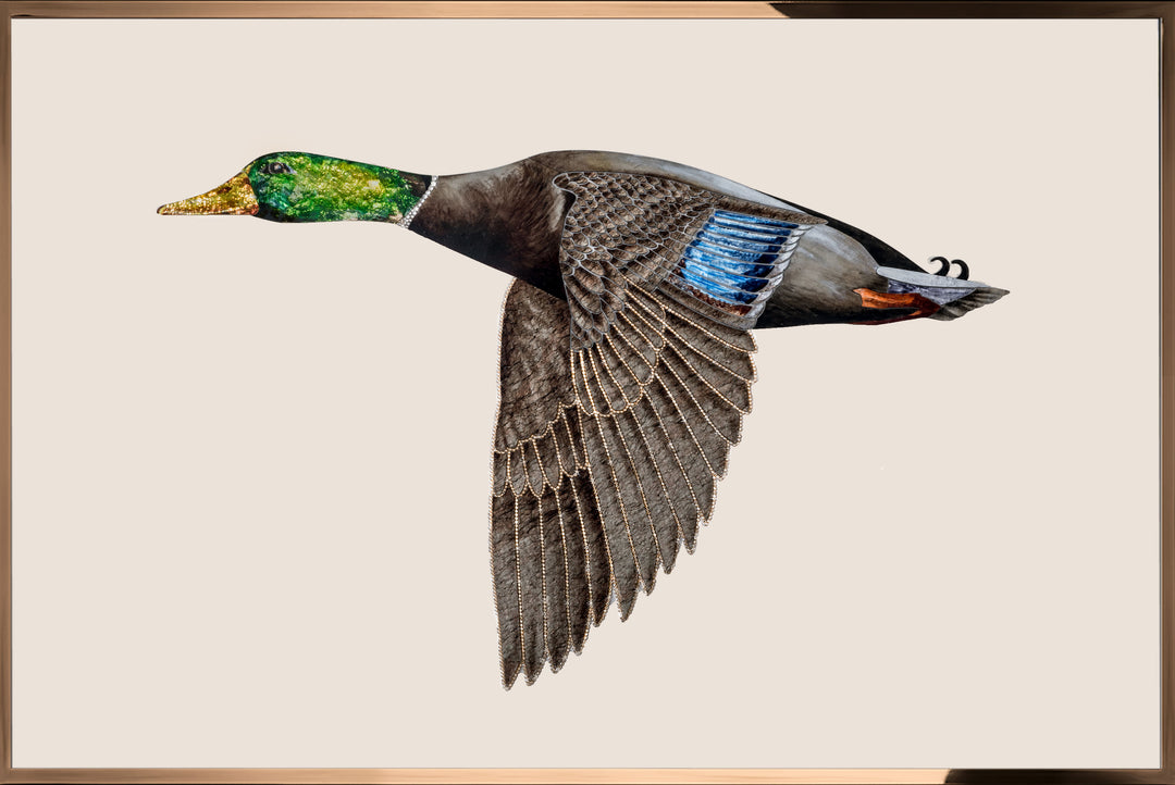 Anatra Draw Art - Anatra in volo – AROWONEN