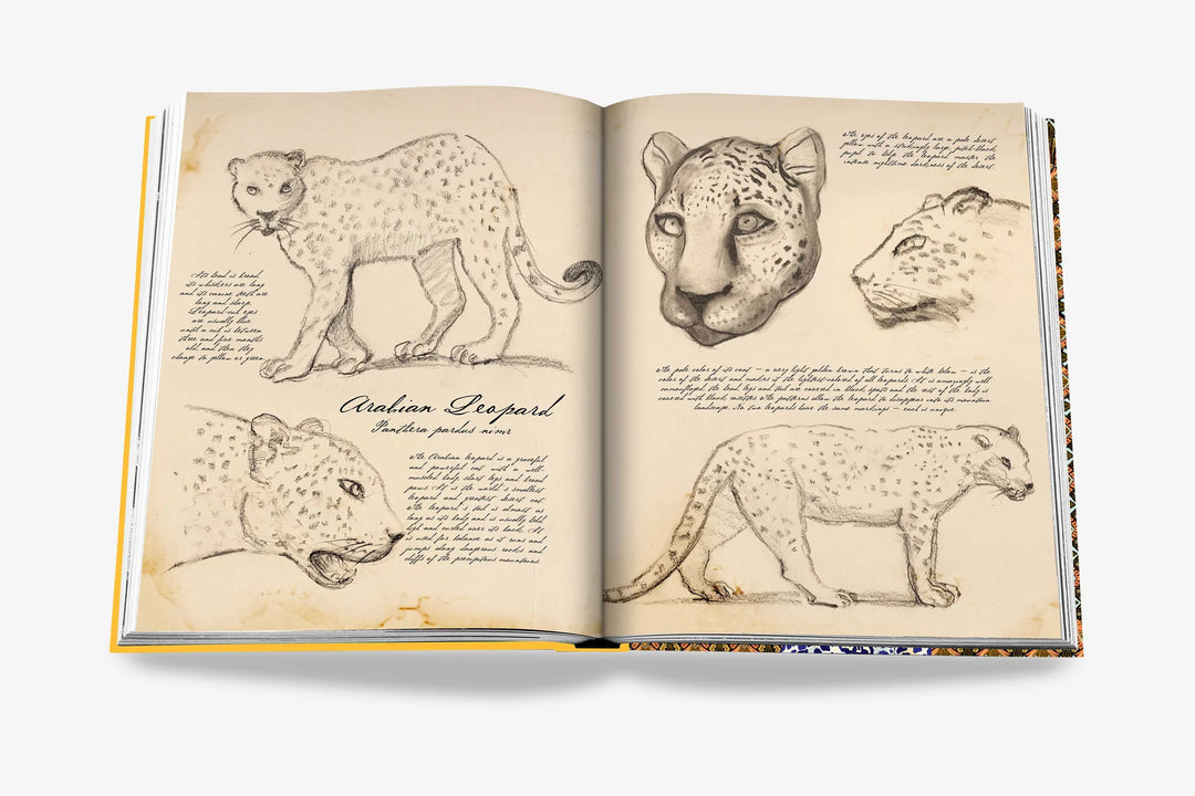 Book - Arabian Leopard