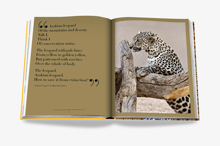 Book - Arabian Leopard