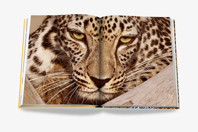 Book - Arabian Leopard