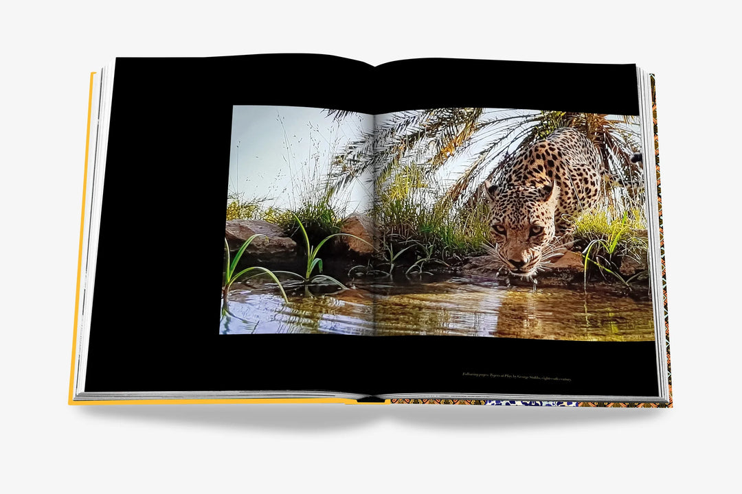 Book - Arabian Leopard