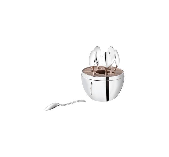 MOOD COFFEE - 6-Piece Espresso Spoon Set with Chest - Silver