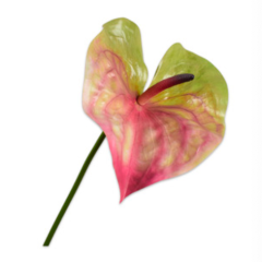 Branch - Anthurium - Red - 81cm