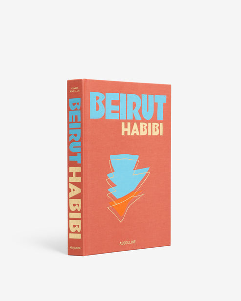 Book - Beirut Habibi