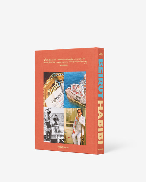 Book - Beirut Habibi