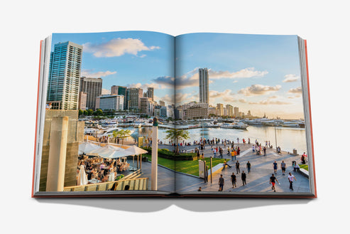 Book - Beirut Habibi