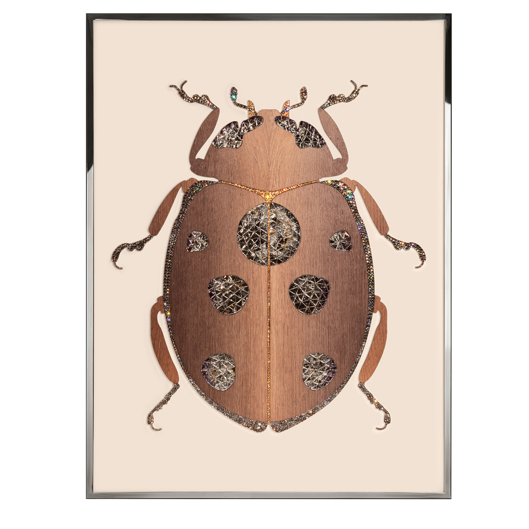 Art - Beetle F
