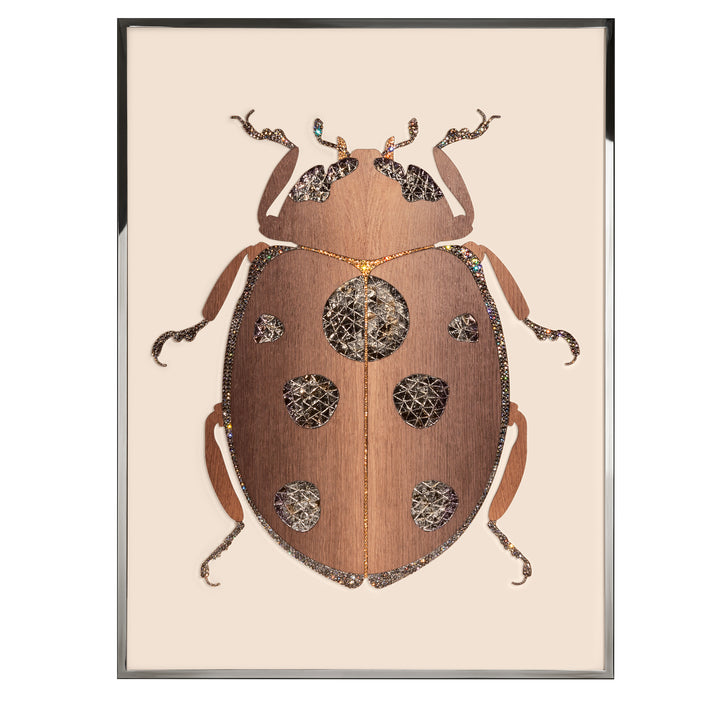 Art - Beetle F