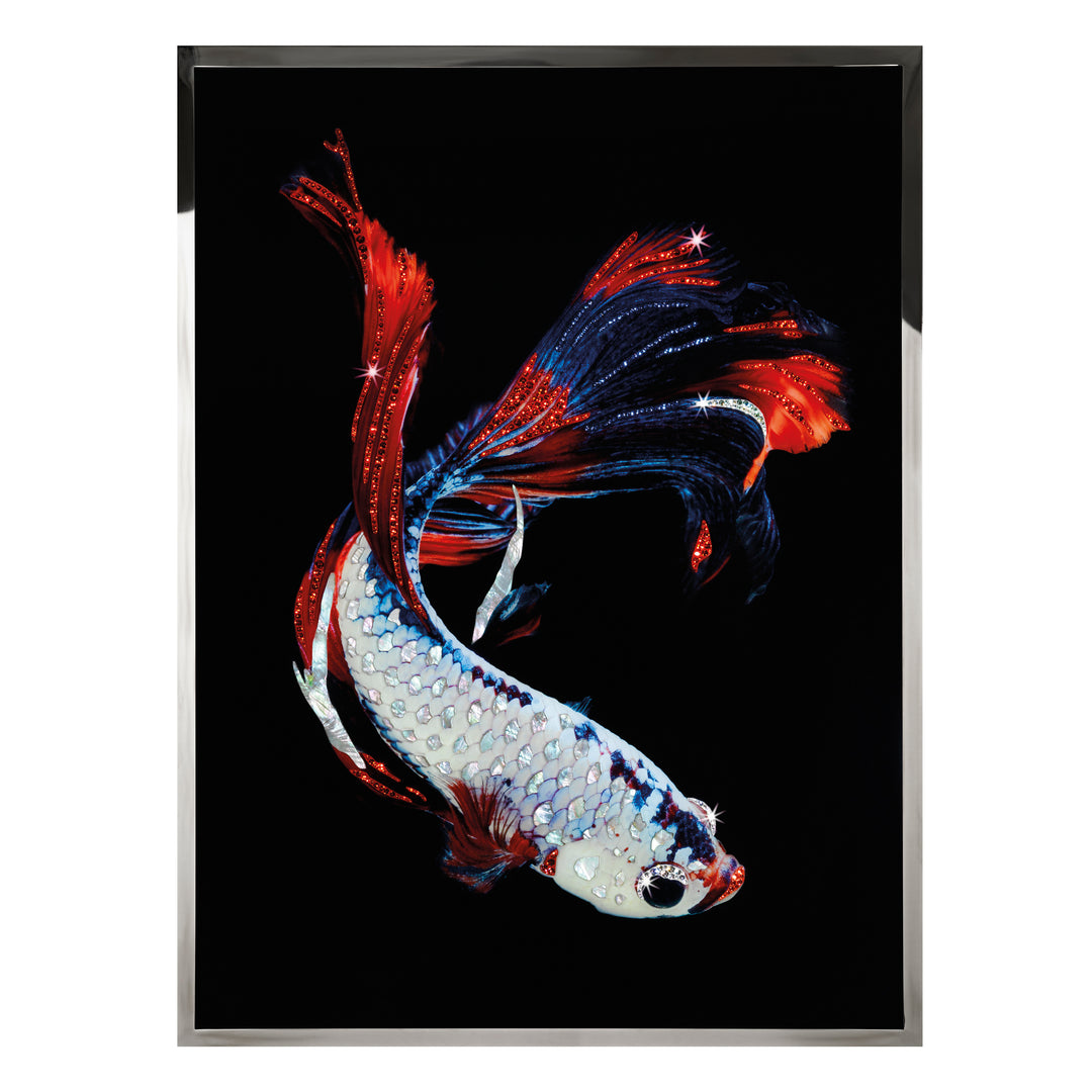 Art - Betta Splendes