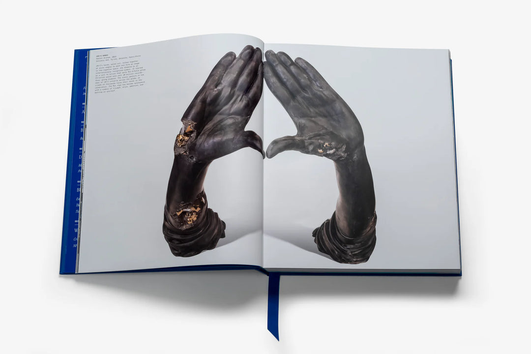 Book - The Book of Hov (Ultimate)