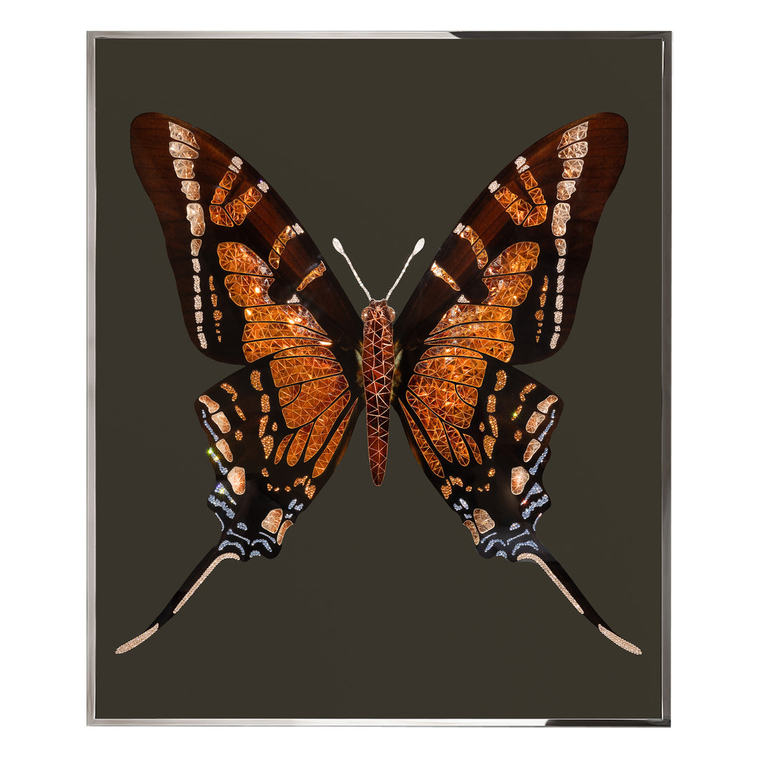 Art - Brown Butterfly